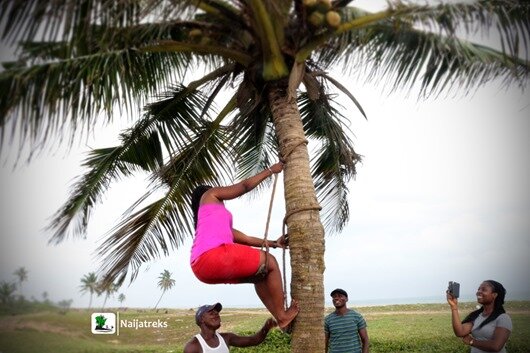 22 Badagry beach palmtree climbing Nigeria Naijatreks