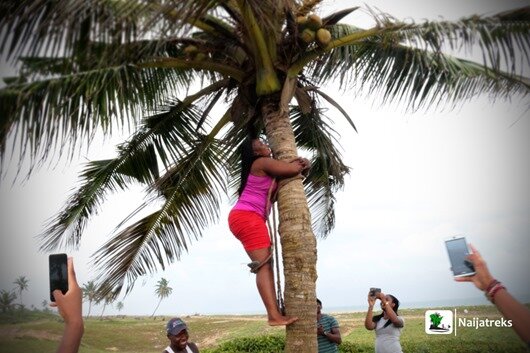 23 Badagry beach palmtree climbing Nigeria Naijatreks