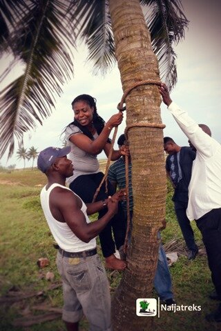 25 Badagry beach palmtree climbing Nigeria Naijatreks