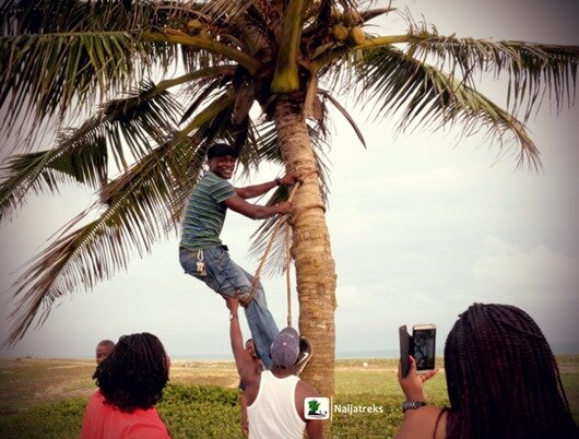 26 Badagry beach palmtree climbing Nigeria Naijatreks