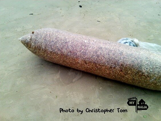 Akwa Ibom Okposo Beach crayfish Christopher Naijatreks 3_thumb[2]