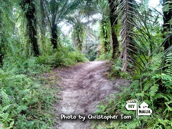 Akwa Ibom Okposo beach foot path Christopher Naijatreks 5_thumb[2]